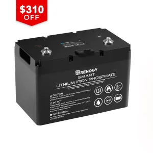 12V 100Ah Smart Lithium Iron Phosphate Battery w/ Self-Heating Function