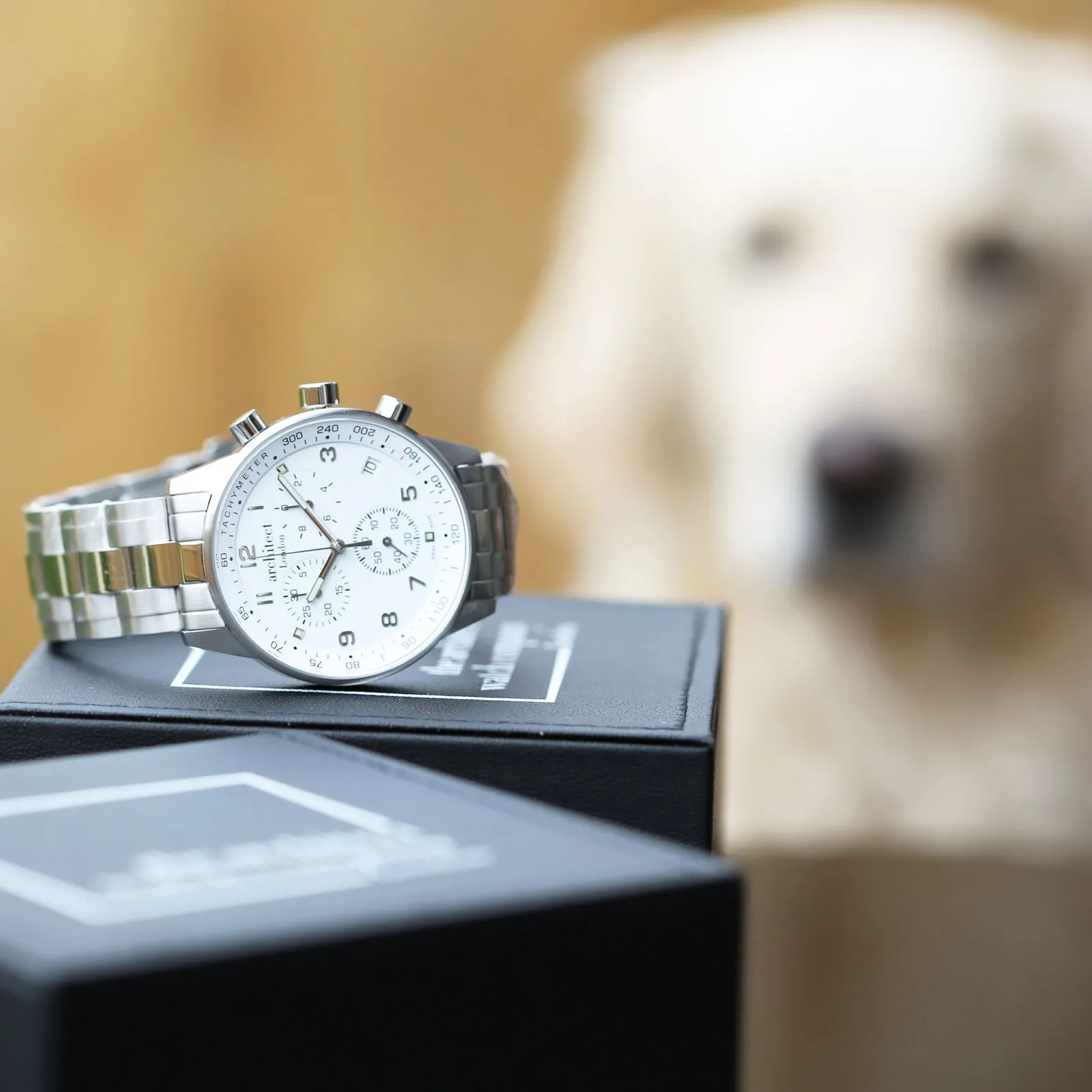 Men's Engraved Swiss Watch - Architect Endeavour